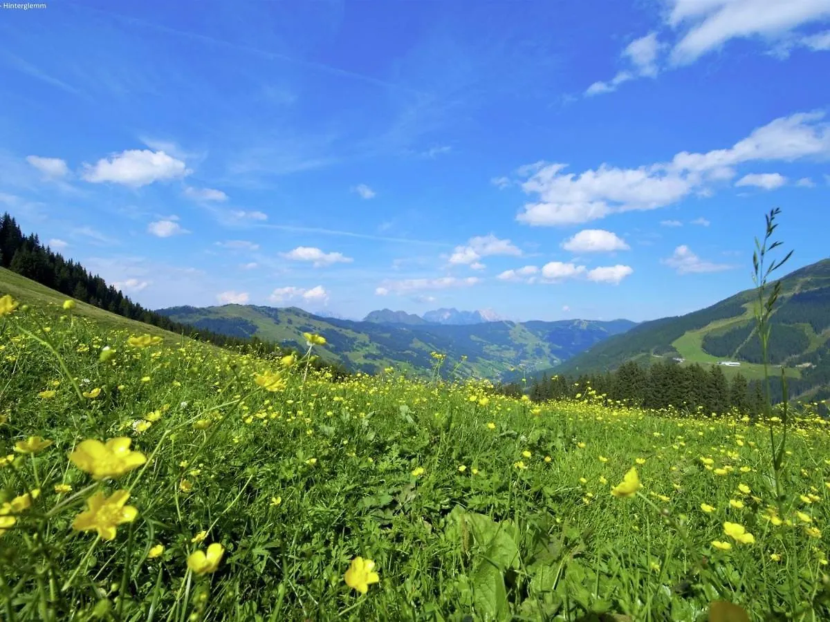Charming Chalet With Sauna In Saalbach Hinterglemm